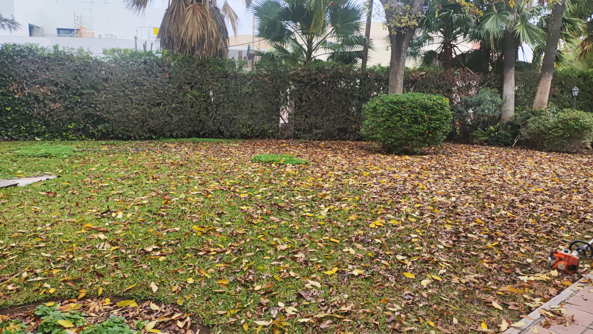 Mantenimiento de piscinas