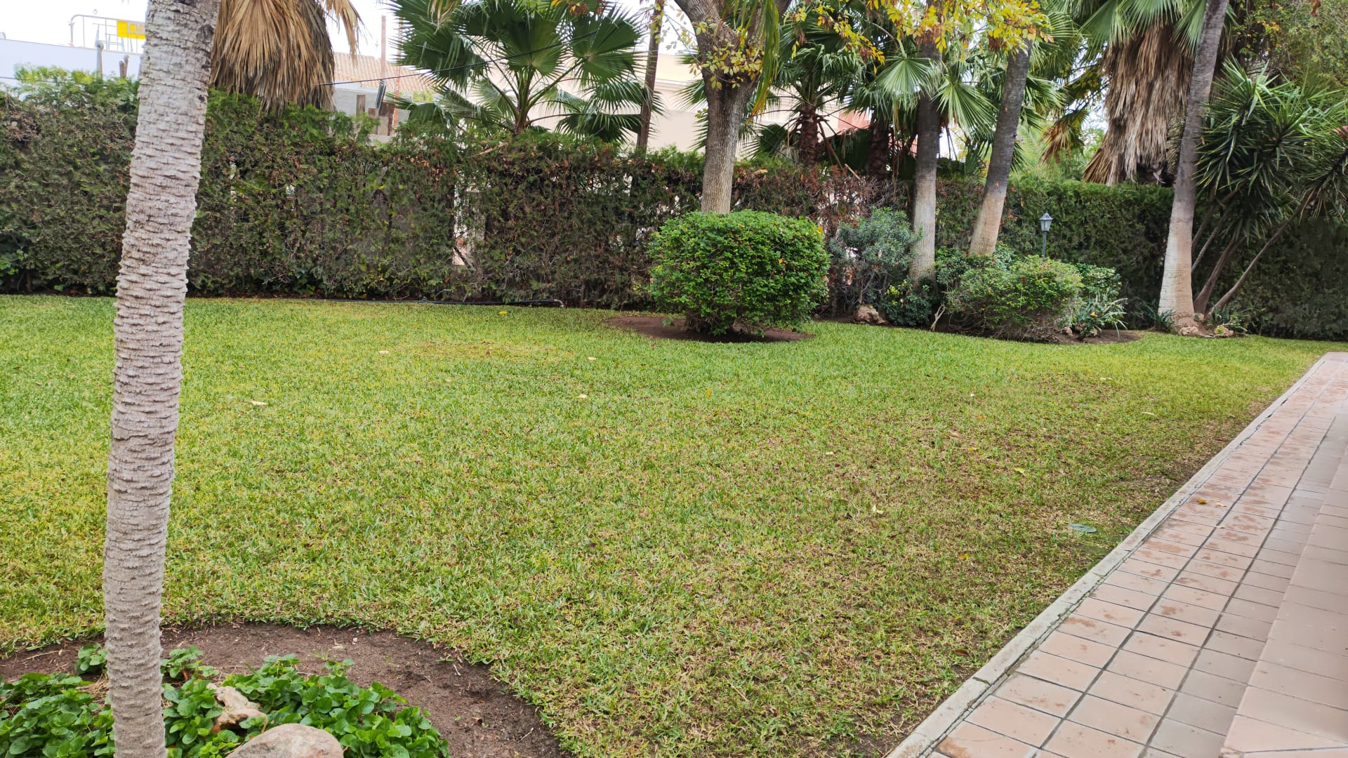 Desbroce de parcelas