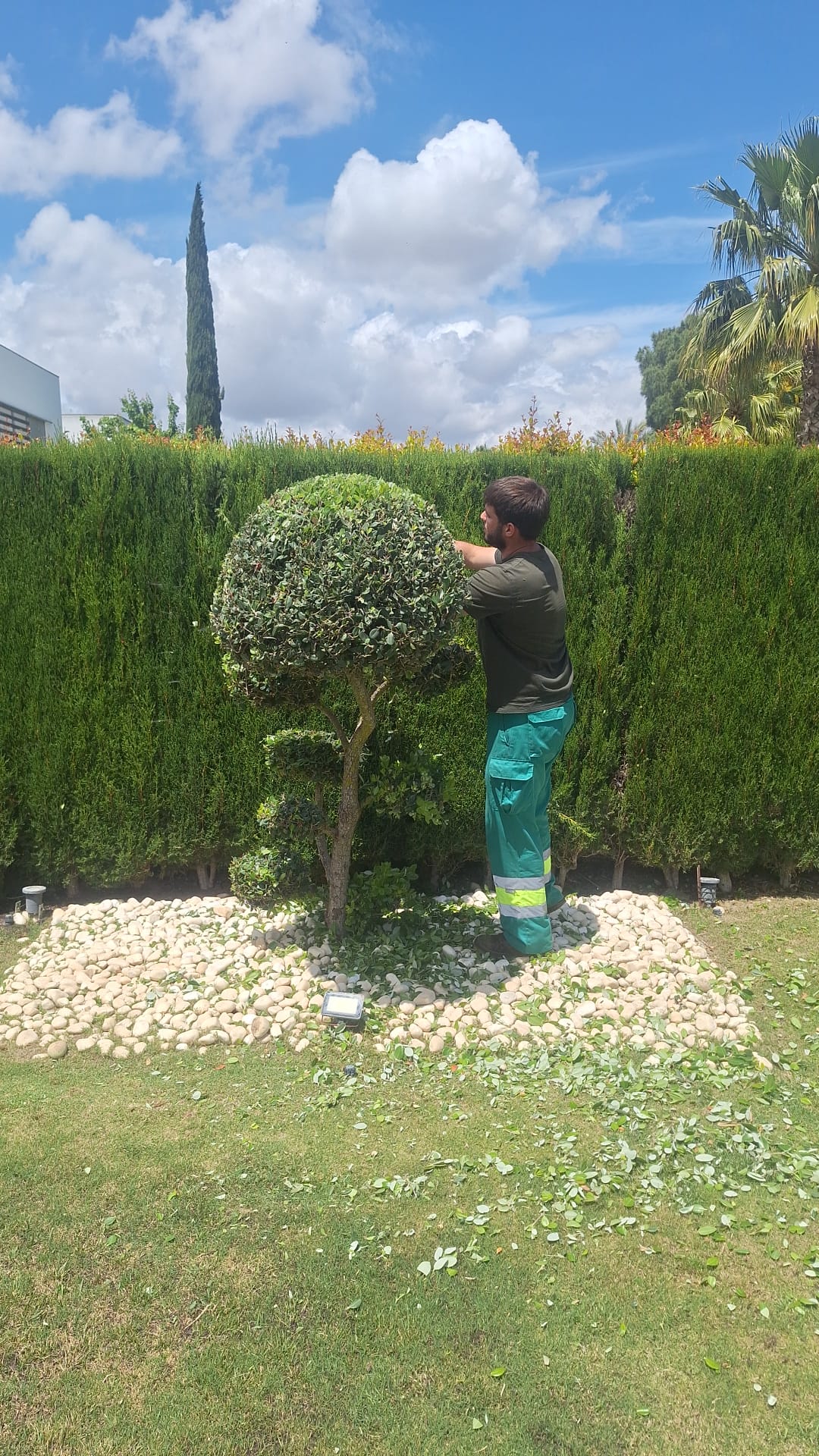 Mantenimiento de jardines