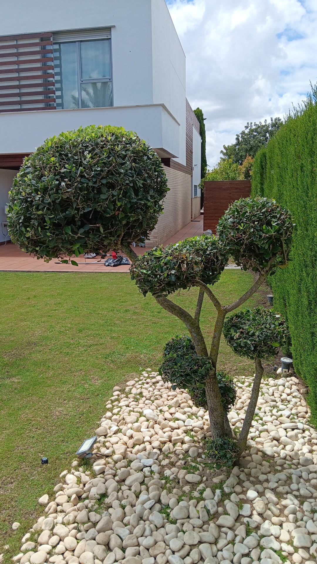 Jardinero En Alcalá De Guadaíra Jardinería Andrés