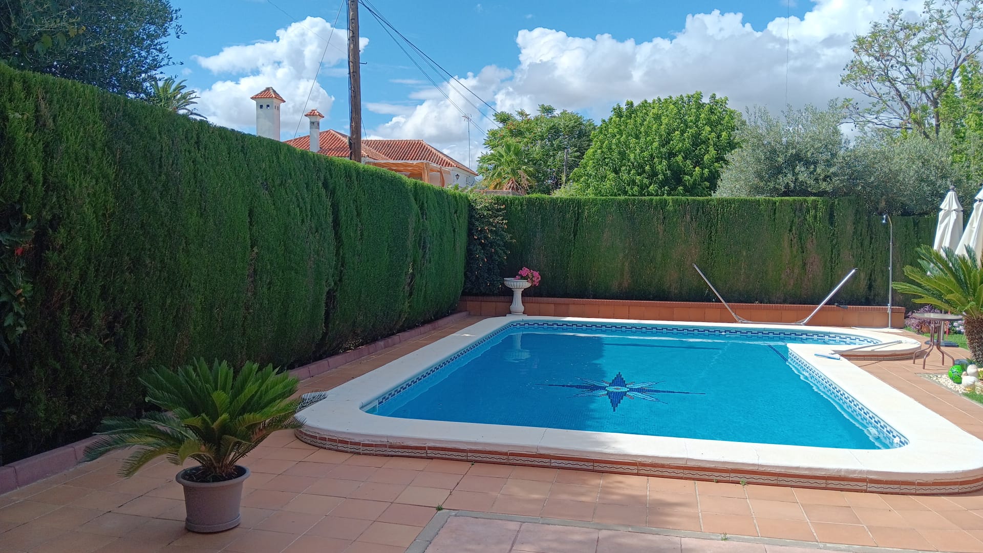 Poda en Dos Hermanas