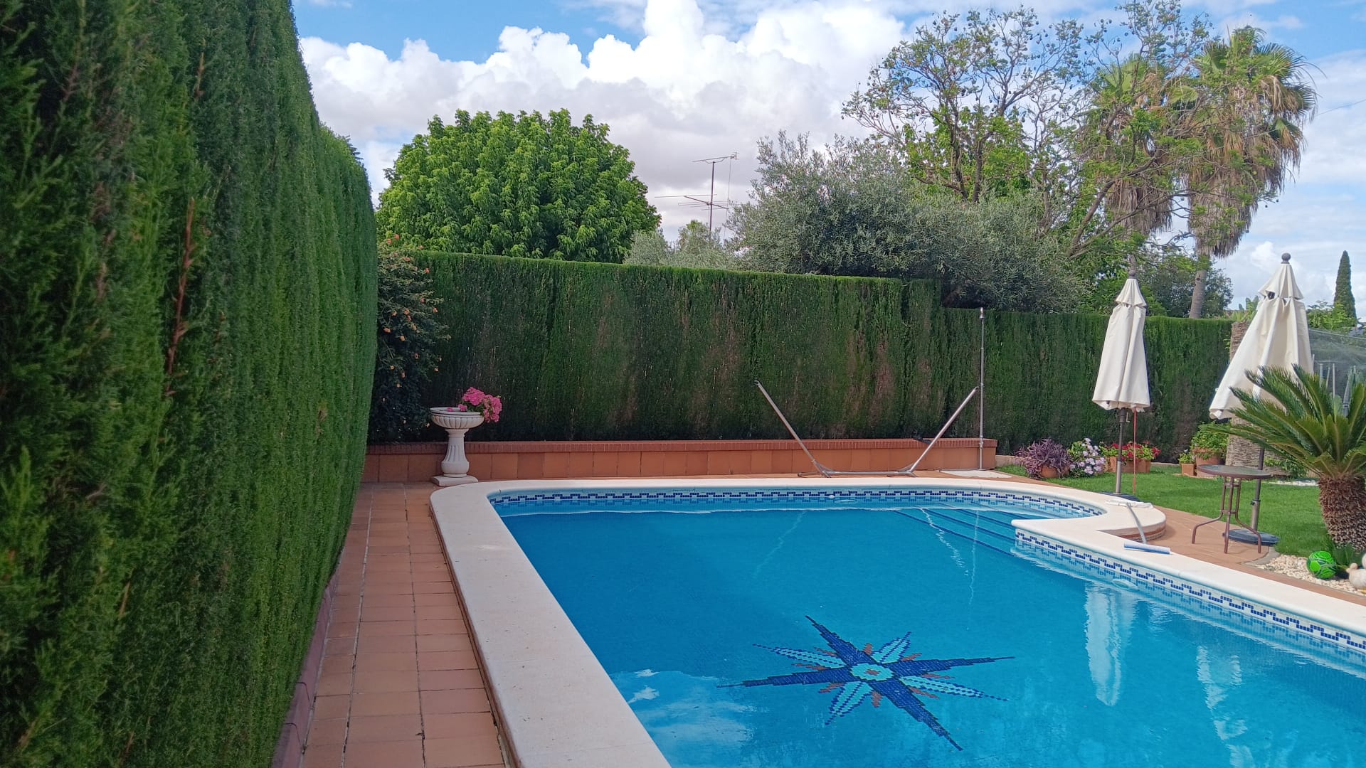 Podas Jardinería Andrés