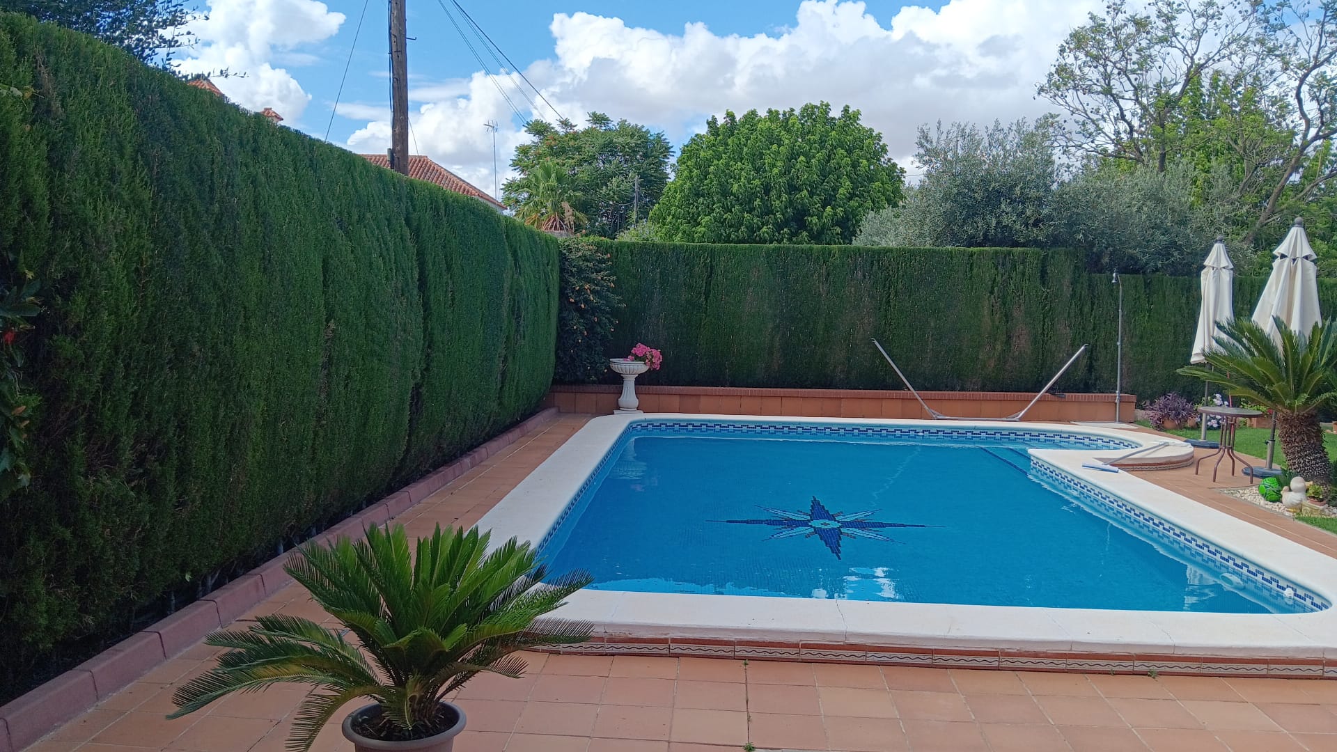 Andrés Moreno — Jardinería en Dos Hermanas