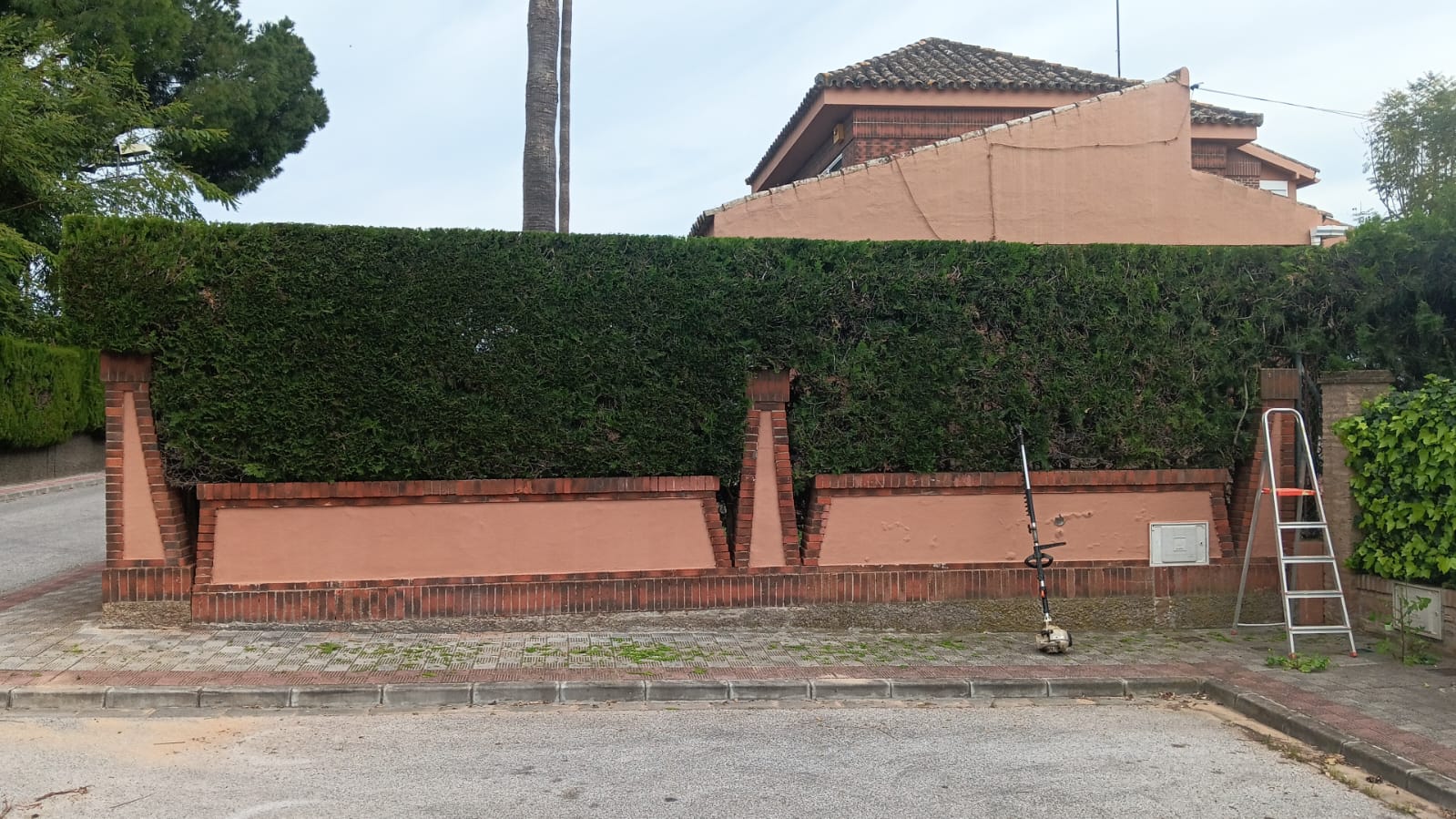 Jardinero En Sevilla Jardinería Andrés