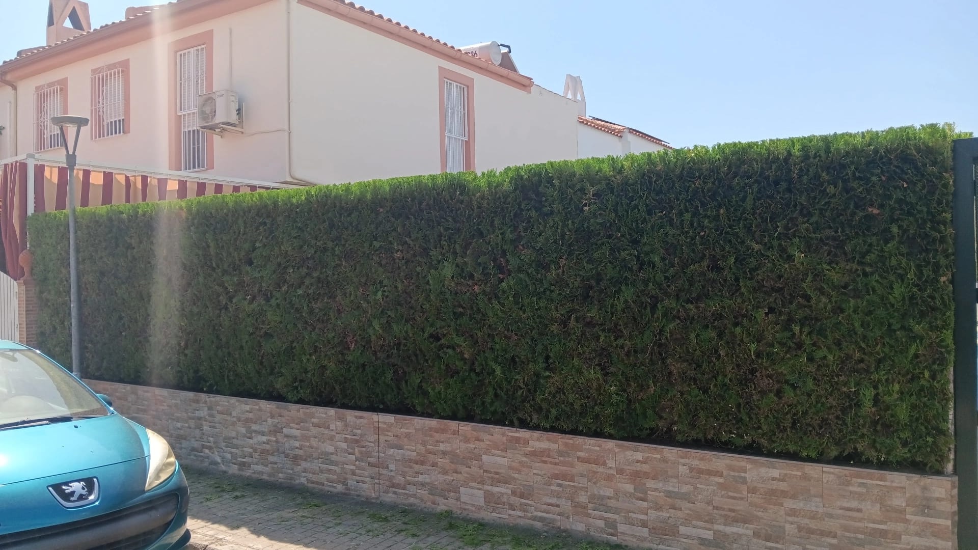 Césped Artificial Dos Hermanas Jardinería Andrés